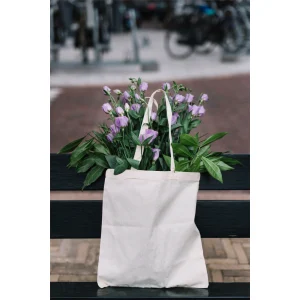 Canvas ToteVaska